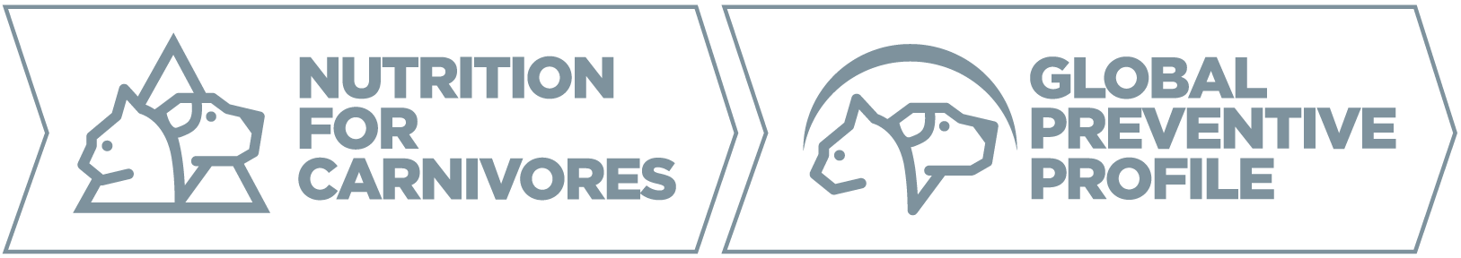 Global preventive profile