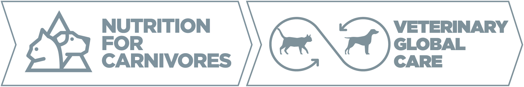 veterinary global care