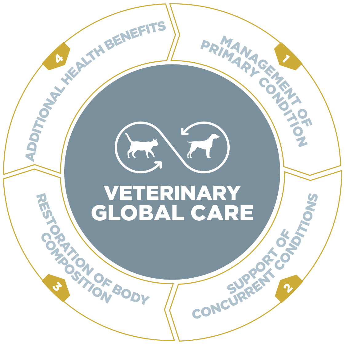 Veterinary_global_care-01.png