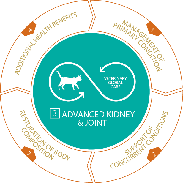 Cat-Dry Advanced Kidney Joint.png