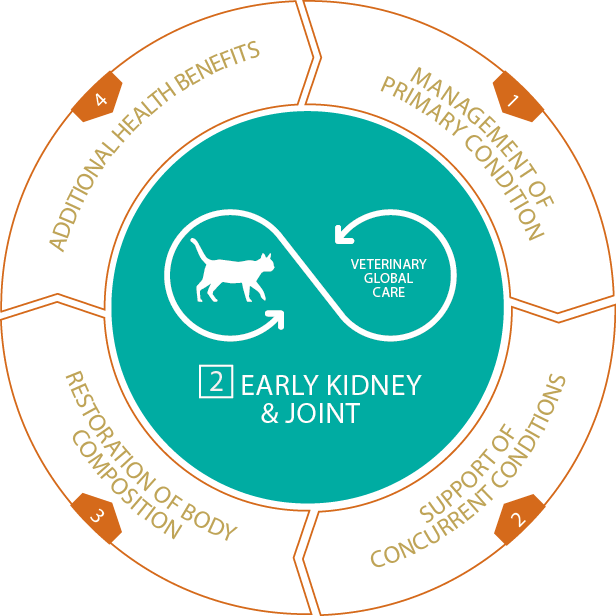 Cat-Dry Kidney Joint.png