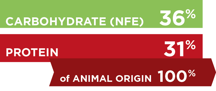 Cat-Allergy-2.png