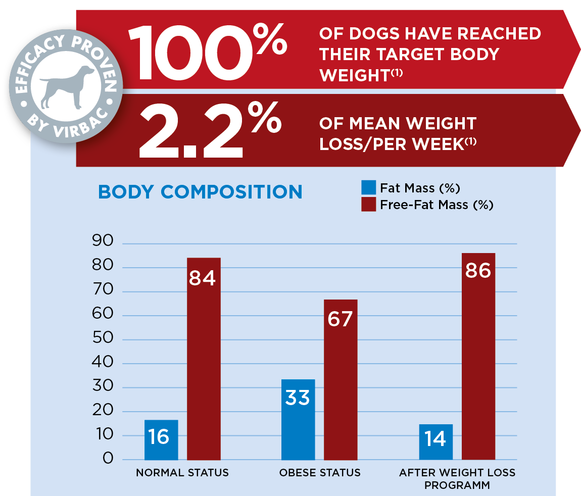 Dog-Weight-1.png