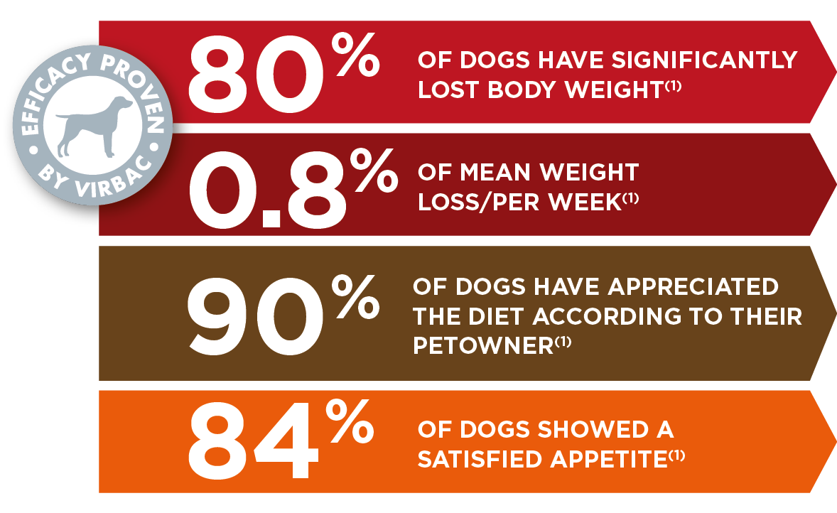 Dog-Weight-2.png