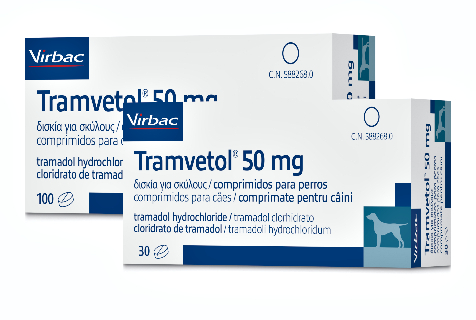 New Tramvetol Licensed Tramadol Tablets For Dogs New Tramvetol Licensed Tramadol Tablets For Dogs