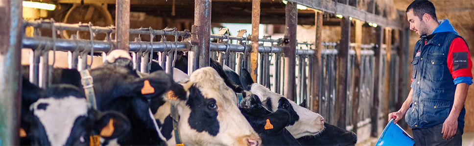 Trace minerals and vaccination