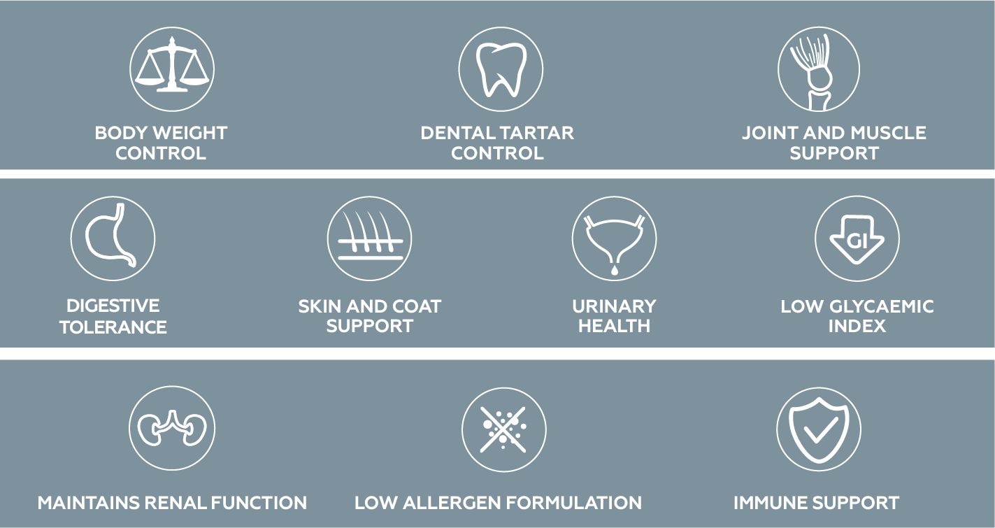 9539 VIR HPM Pet Owner Pictos.png