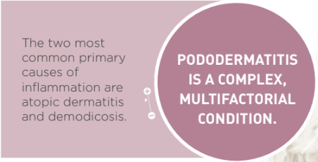 Box1 Pododermatis.jpg