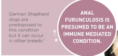 Box1 furunculosis.jpg