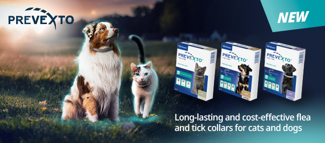 Introducing Prevexto™