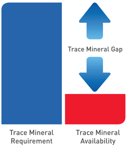 large animal graph 5.PNG