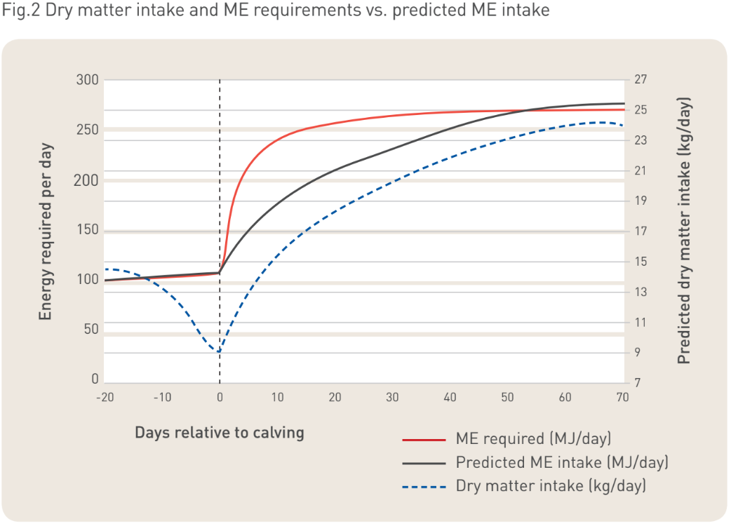 large animal graph 7.PNG